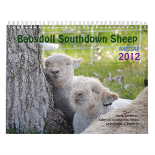 Babydoll Southdown Sheep 2012 NABSSAR calendar
