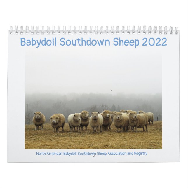 Babydoll Southdown Sheep 2022 NABSSAR Calendar (Cover)