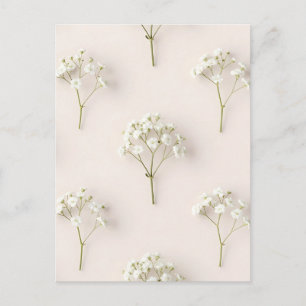 Baby's Breath Delicate Neutral Pattern Postcard