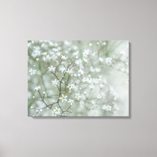 Baby's Breath Flowers Airy Nature Photography Canvas Print