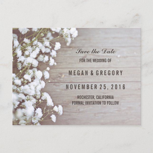 baby's breath rustic save the date announcement postcard (Front)