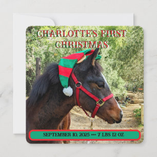 Baby's First Christmas Birth Announcement