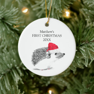 Baby's First Christmas Hedgehog Forest Boy Ceramic Tree Decoration