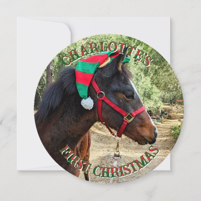 Baby's First Christmas Horse round card (Front)