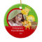 Babys First Christmas Photo Ornament Giraffe