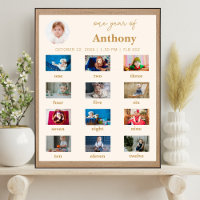 Baby's First Year 1st Birthday Photo Milestone