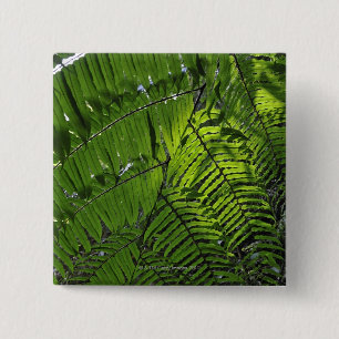 Bach Ma National Park 15 Cm Square Badge