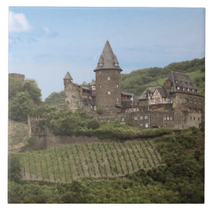 Bacharach, Germany, Stahleck Castle, Schloss Tile