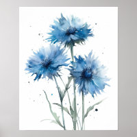 Bachelor Buttons Flower Art Print Poster