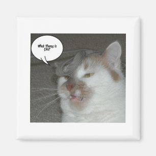 Bachelor Party Humour Magnet