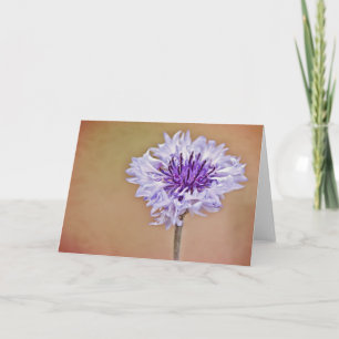 Bachelors Button Art Note Card