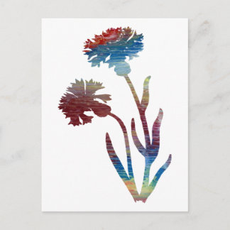 Bachelor's Button Postcard