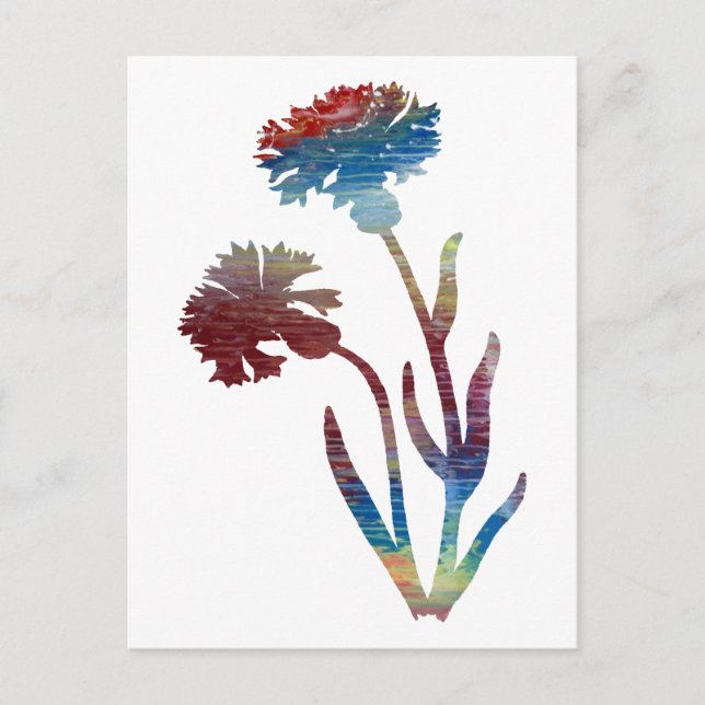 Bachelor's Button Postcard (Front)