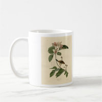 Bachman's Finch (Sparrow) Audubon Birds of America