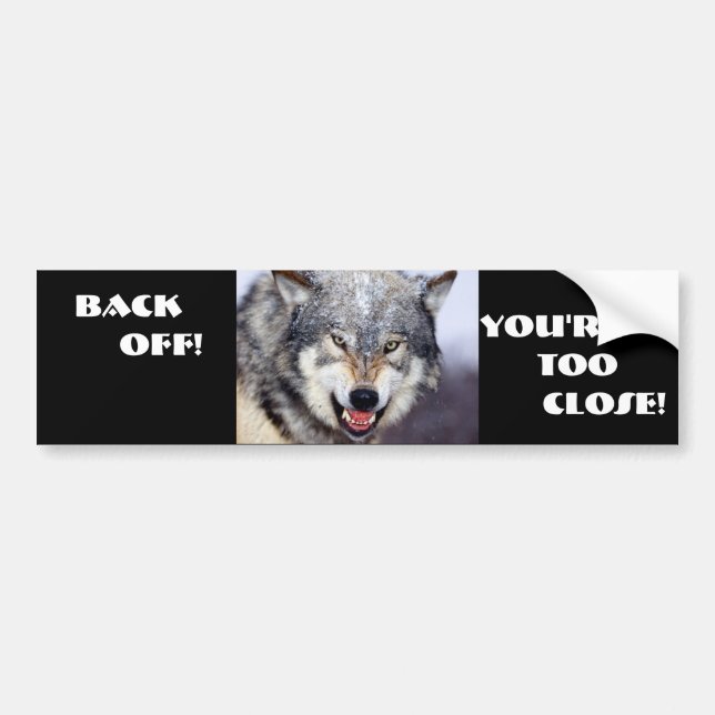Back Off Bumper Sticker (Front)