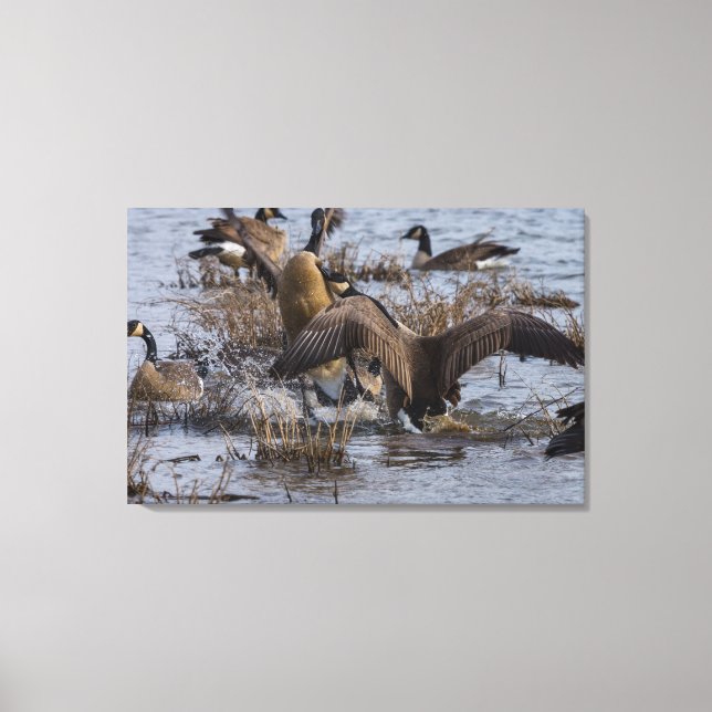 Back Off Canvas Print (Front)