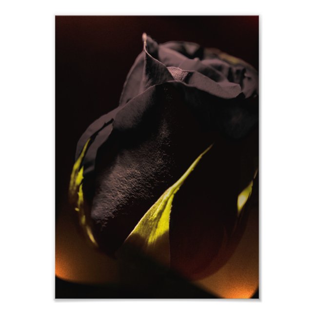 Back Photo Print (Front)