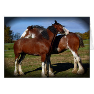 Back scratching mares