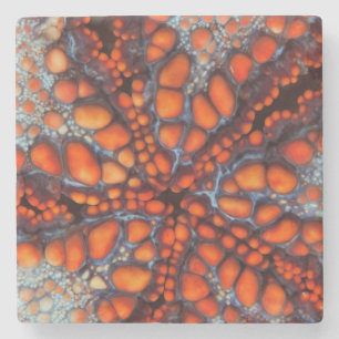 Back Side Of Sea Star Cambodia Stone Coaster