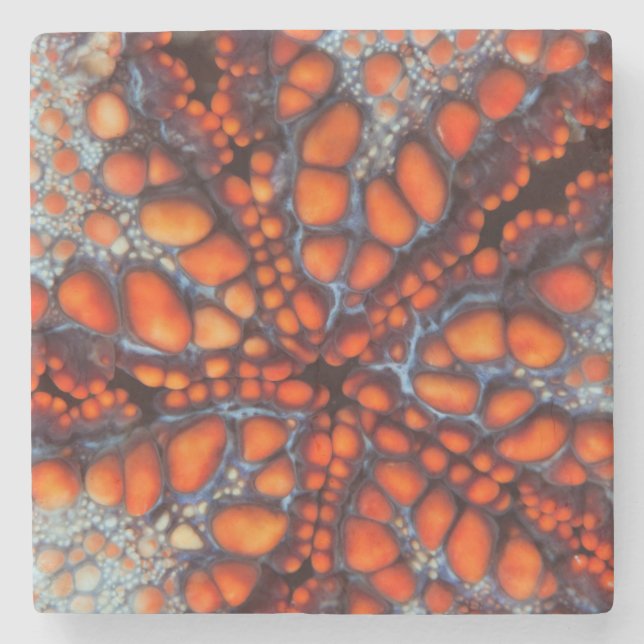 Back Side Of Sea Star |Cambodia Stone Coaster (Front)