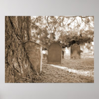 Back To Nature - Gravestones and Trees