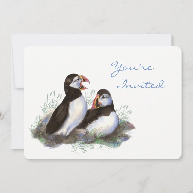 Back to Nature Puffin Bird Birthday Party Invitation (Front)
