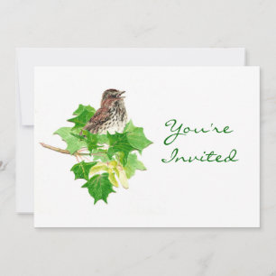 Back to Nature, Sparrow, Bird , Wilderness Invitation