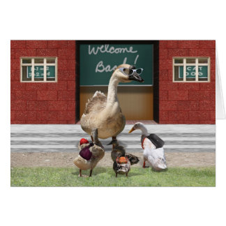 Back To School, Little Ducks!
