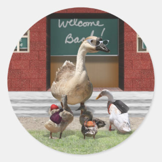 Back to School, Little Ducks! Classic Round Sticker