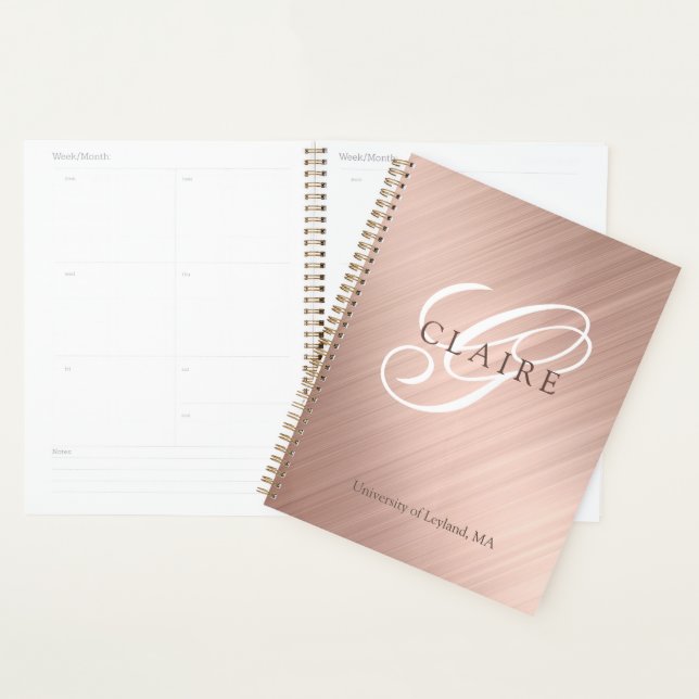 Back To School Pink Monogram Daily Planner (Display)