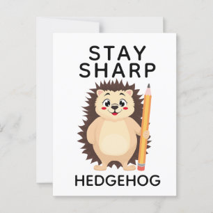 Back to School Stay sharp hedgehog Minimalistic  Postcard