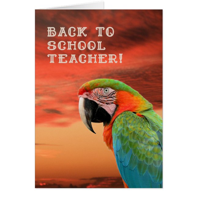 Back to School Teacher Card with Parrot (Front)