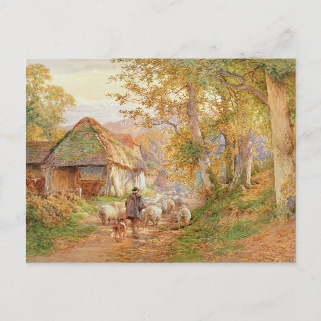 Back to the Fold Postcard (Front)