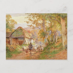 Back to the Fold Postcard