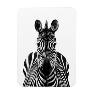 Back Up Plan III Magnet