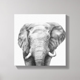 Back Up Plan IV Canvas Print