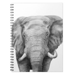 Back Up Plan IV Notebook