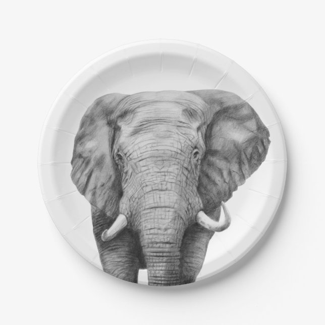 Back Up Plan IV Paper Plate (Front)