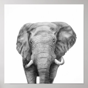 Back Up Plan IV Poster