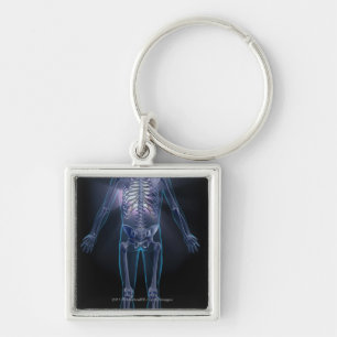 Back view of a human skeleton key ring