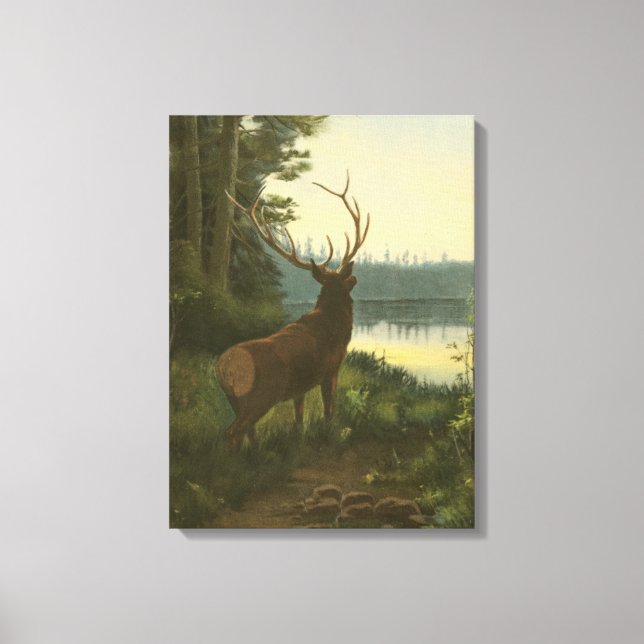 Back view of Elk Looking over a Lake Canvas Print (Front)