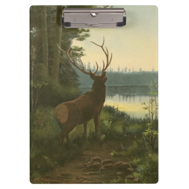 Back view of Elk Looking over a Lake Clipboard (Front)