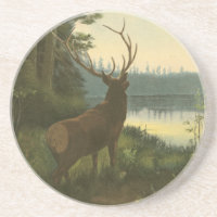 Back view of Elk Looking over a Lake
