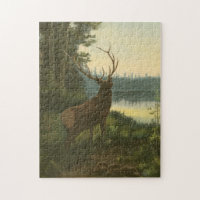 Back view of Elk Looking over a Lake