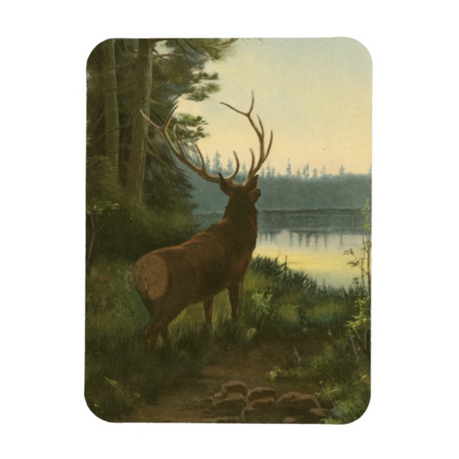 Back view of Elk Looking over a Lake Magnet (Vertical)