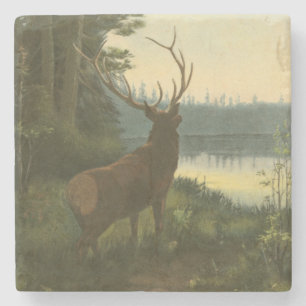 Back view of Elk Looking over a Lake Stone Coaster