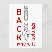 Back Where It belongs