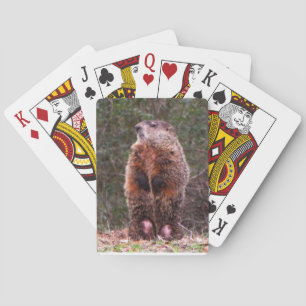 Back Yard Beaver Playing Cards