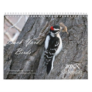 Back Yard Birds Calendar