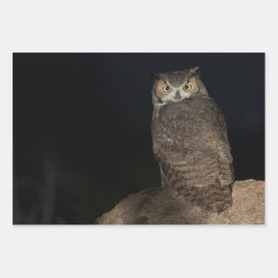 Back yard Great Horned Owl Wrapping Paper Sheet